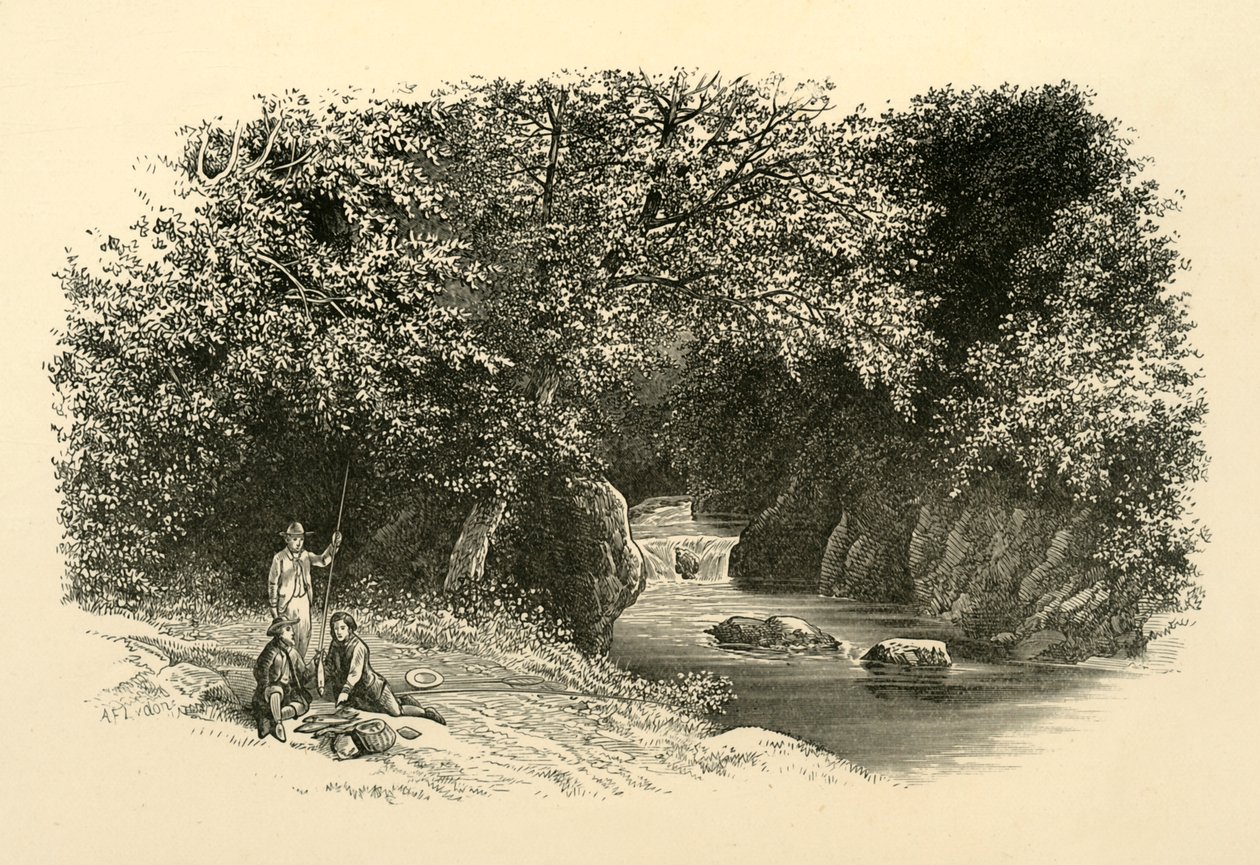 On the Dargle, c1890. af Unbekannt