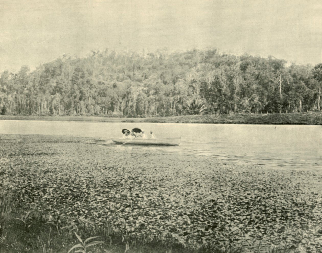Ved Enoggera-søen, 1901. af Unbekannt