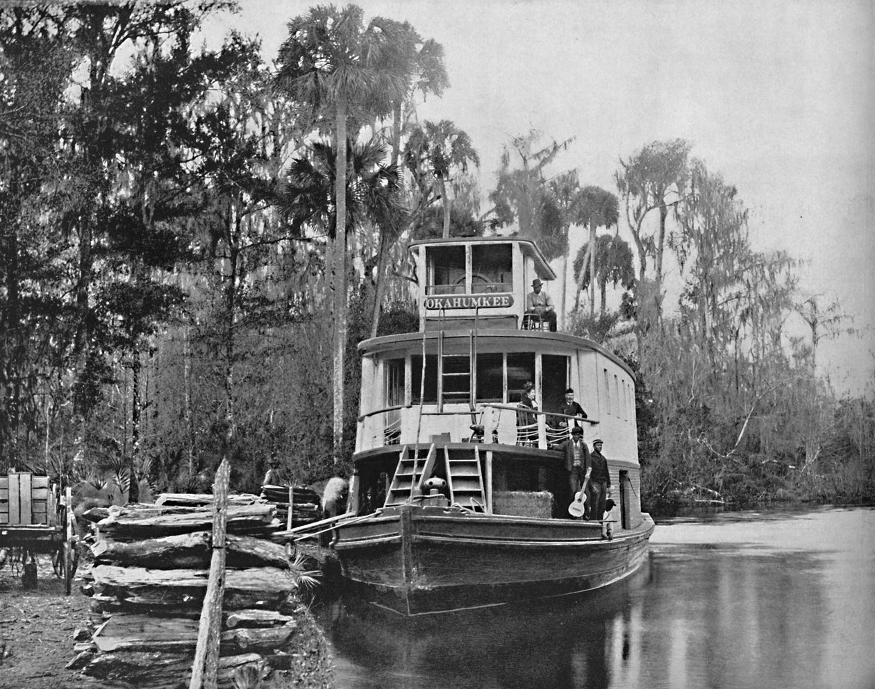 Ved Ocklawaha River, Florida, c1897. af Unbekannt