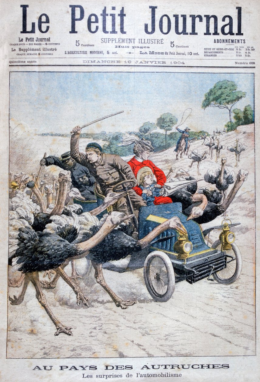 Strudse angriber en bil, Californien, USA, 1904 af Unbekannt