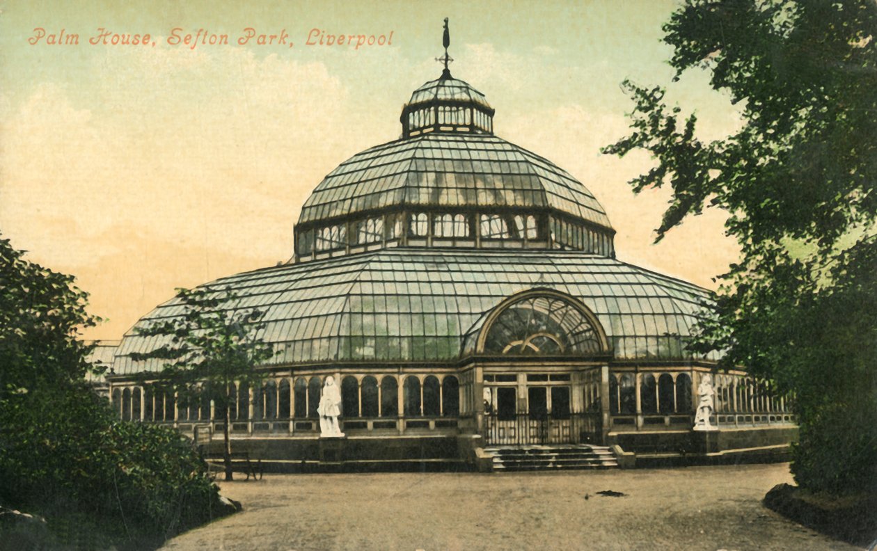 Palm House, Sefton Park, Liverpool, 1946. af Unbekannt