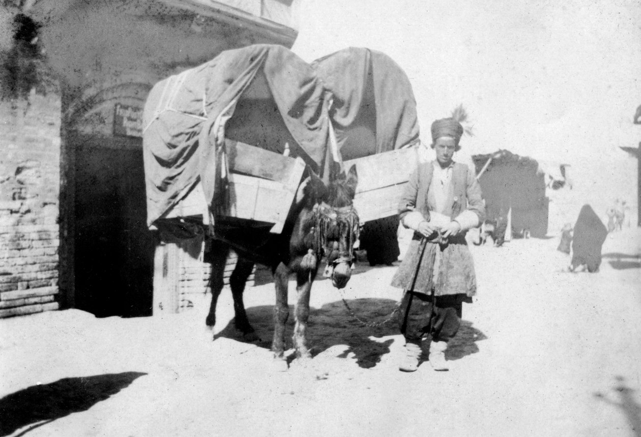 Persisk æseltransport, Bagdad, Irak, 1917-1919 af Unbekannt