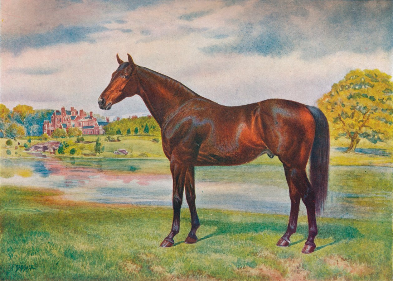Persimmon, c1905 c1910 af Unbekannt