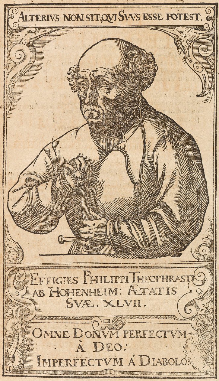 Philippus Theophrastus Aureolus Bombastus von Hohenheim Paracelsus, 1589. af Unbekannt