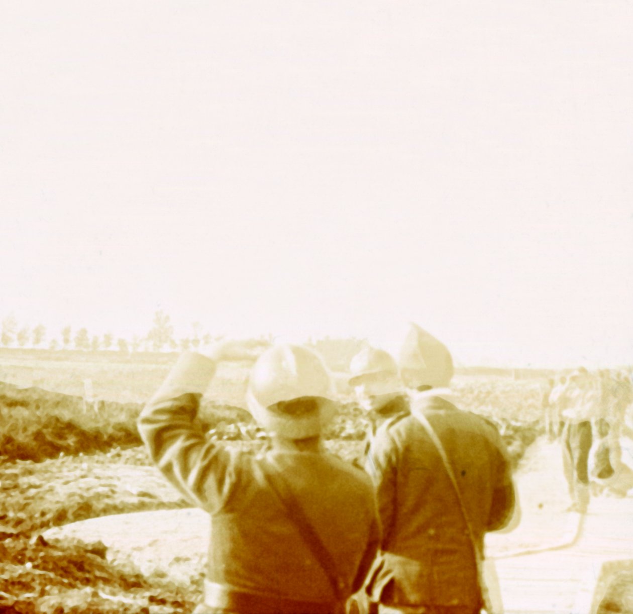 Fly over skyttegrave, Ramskapelle, Belgien, c1914-c1918 af Unbekannt