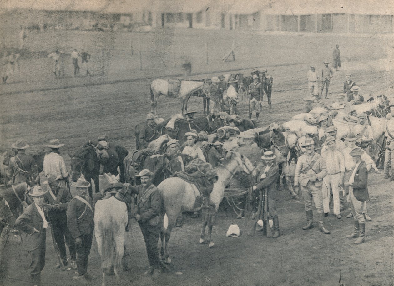 Blikkenslager hest, c1900. af Unbekannt