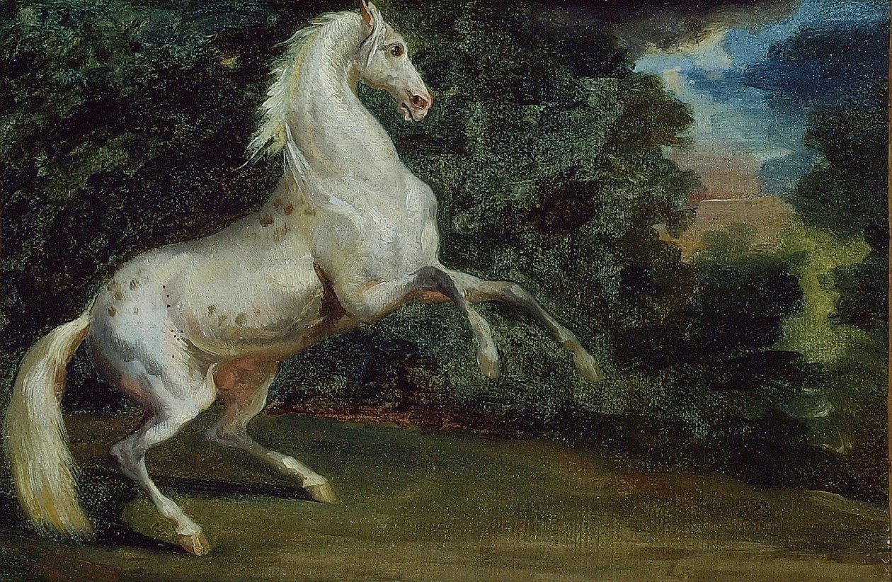 Stigende hest, 180812. af Unbekannt