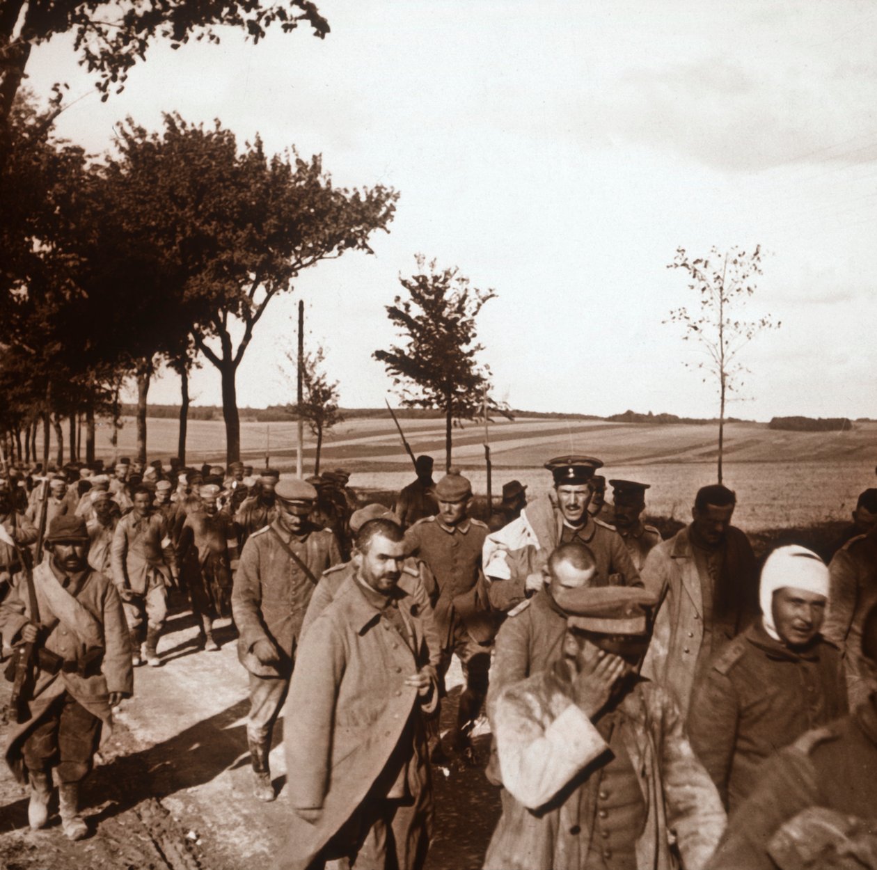 Fanger, Champagne, Nordfrankrig, c1914-c1918 af Unbekannt