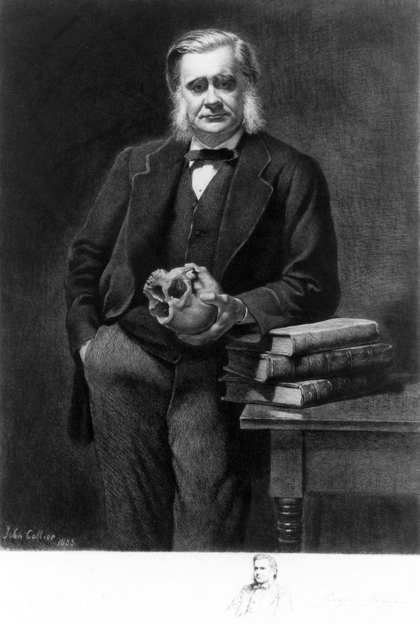 Professor Thomas Henry Huxley, engelsk biolog af Unbekannt