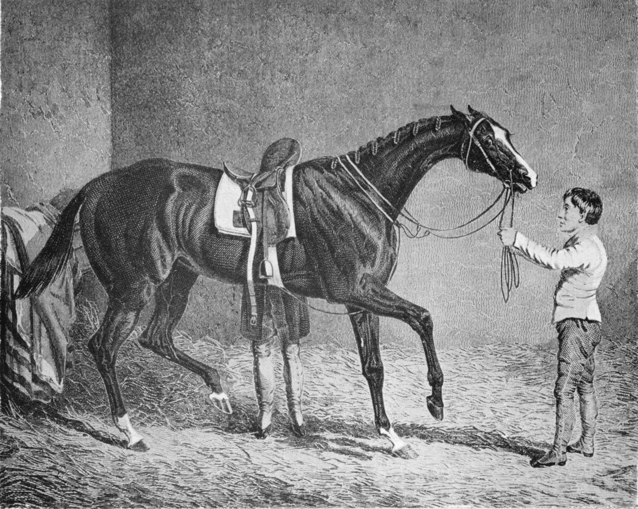 Dronning af Trumps, 1832-1843, 1911 af Unbekannt