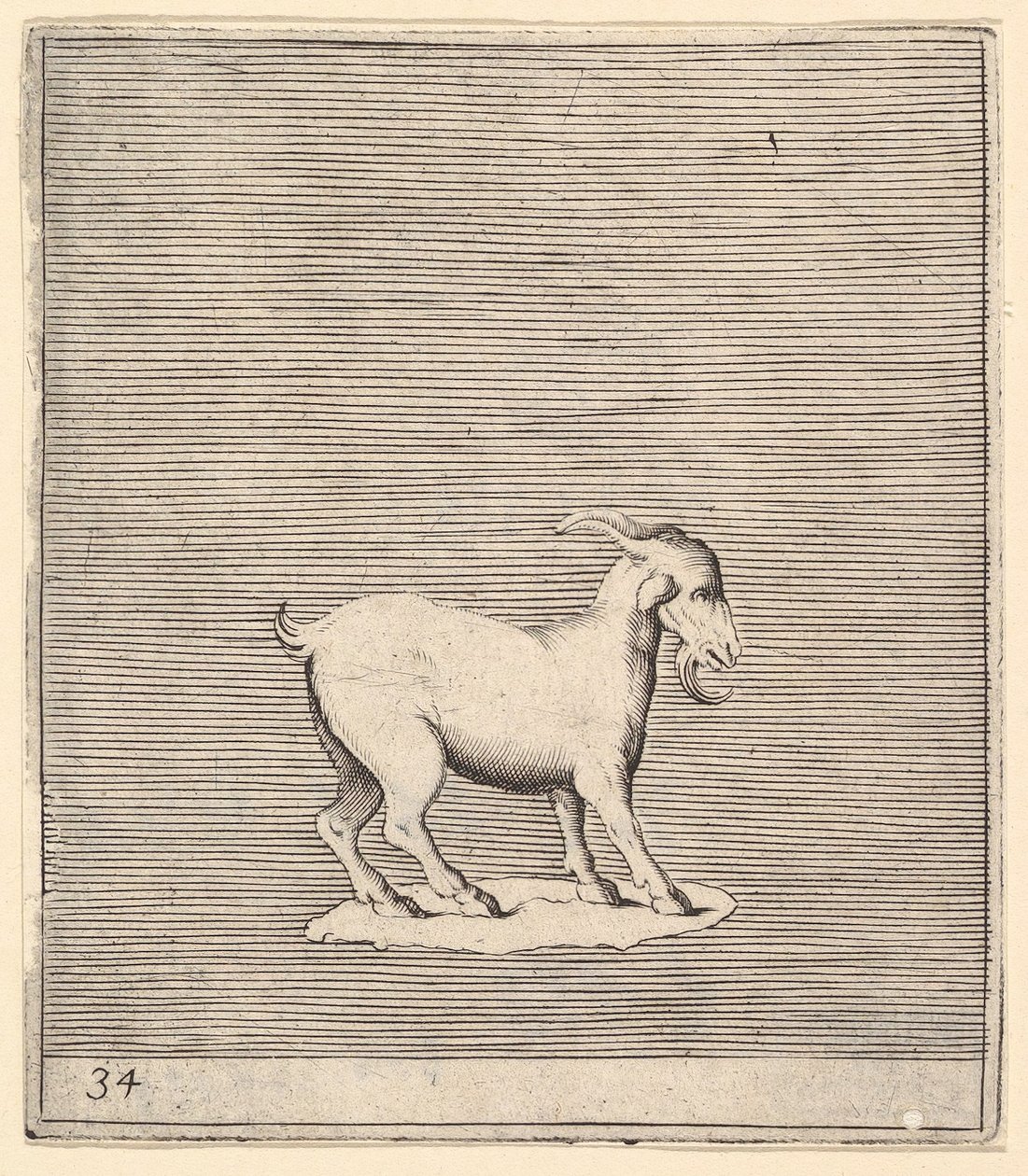 Ram, udgivet ca. 1599-1622. af Unbekannt
