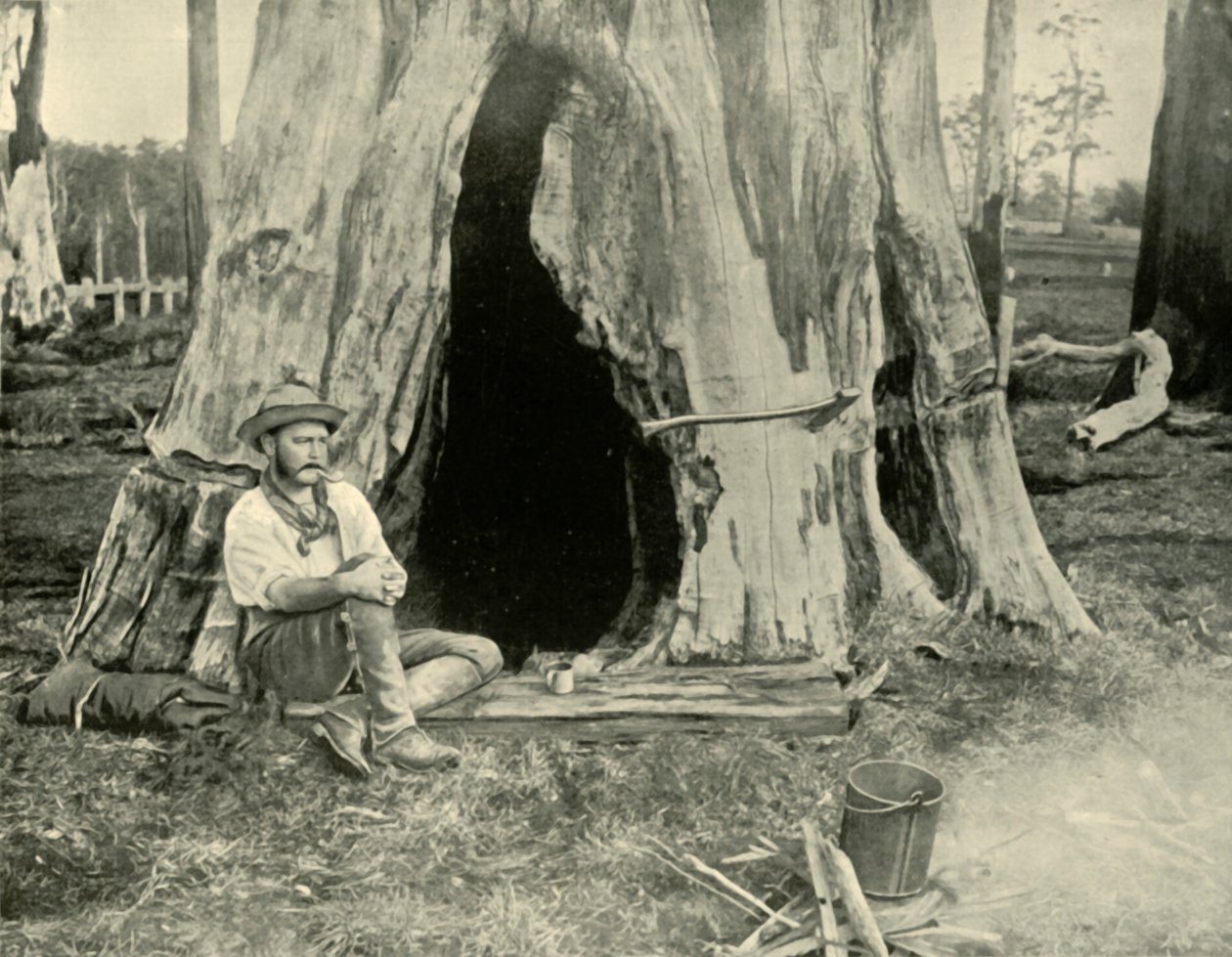 Hvile, 1901. af Unbekannt