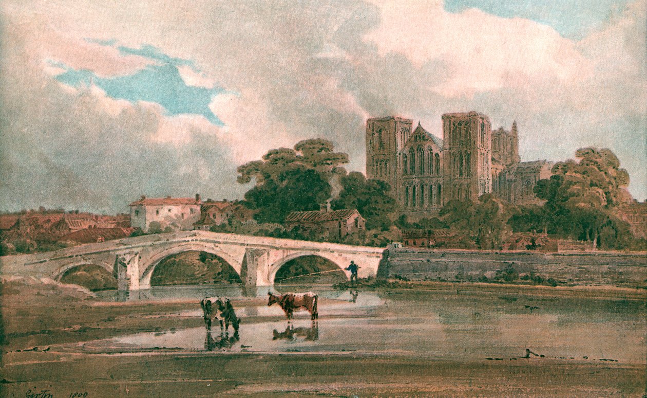 Ripon katedral, c1800, c1900. af Unbekannt