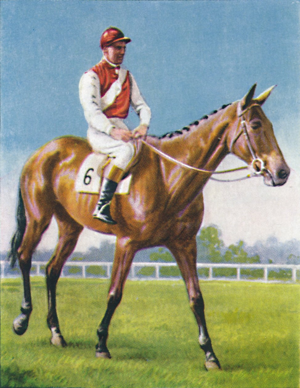 Royal Danieli, Jockey: D. Moore, 1939 af Unbekannt