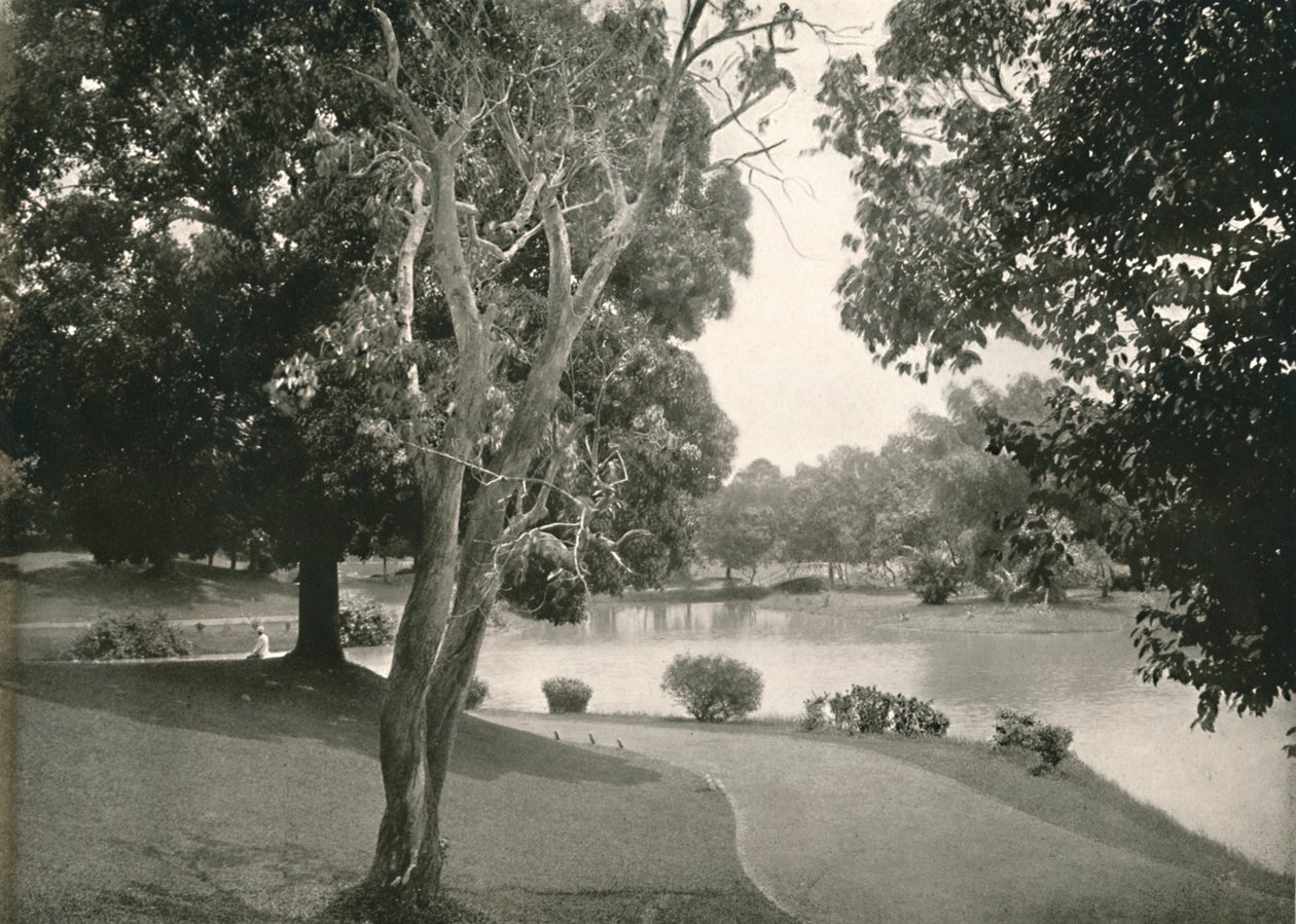 Royal Lakes, Rangoon, 1900. af Unbekannt