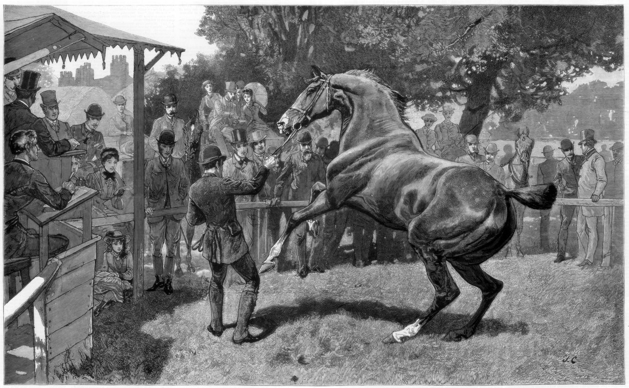 Salg af jægere, rejsning og indsigelse, 1885 af Unbekannt