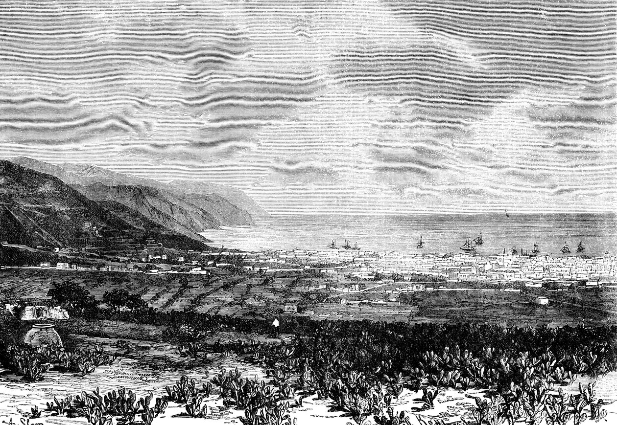Santa Cruz, Tenerife, Spanien, 1895 af Unbekannt