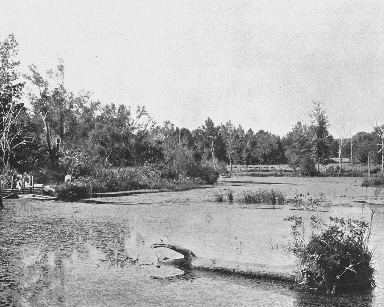 Scene i Mississippi, USA, c1900. af Unbekannt