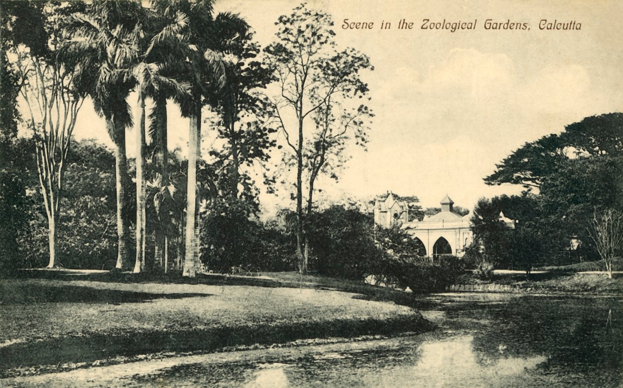 Scene i Zoological Gardens, Calcutta. af Unbekannt
