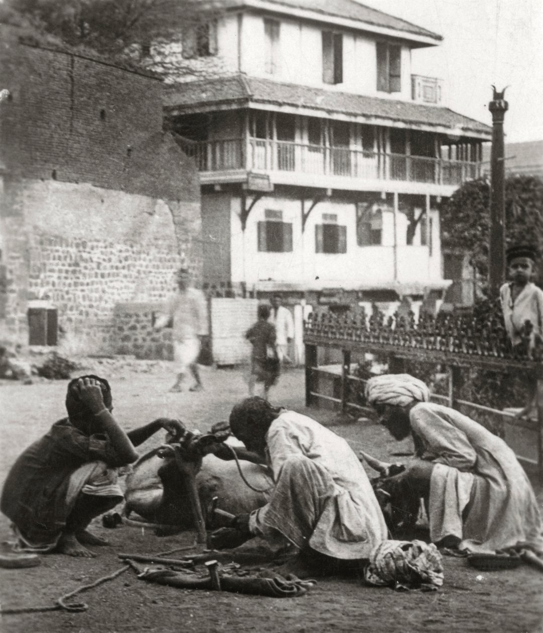Skoer en tyr, Indien, c1927-c1929 af Unbekannt