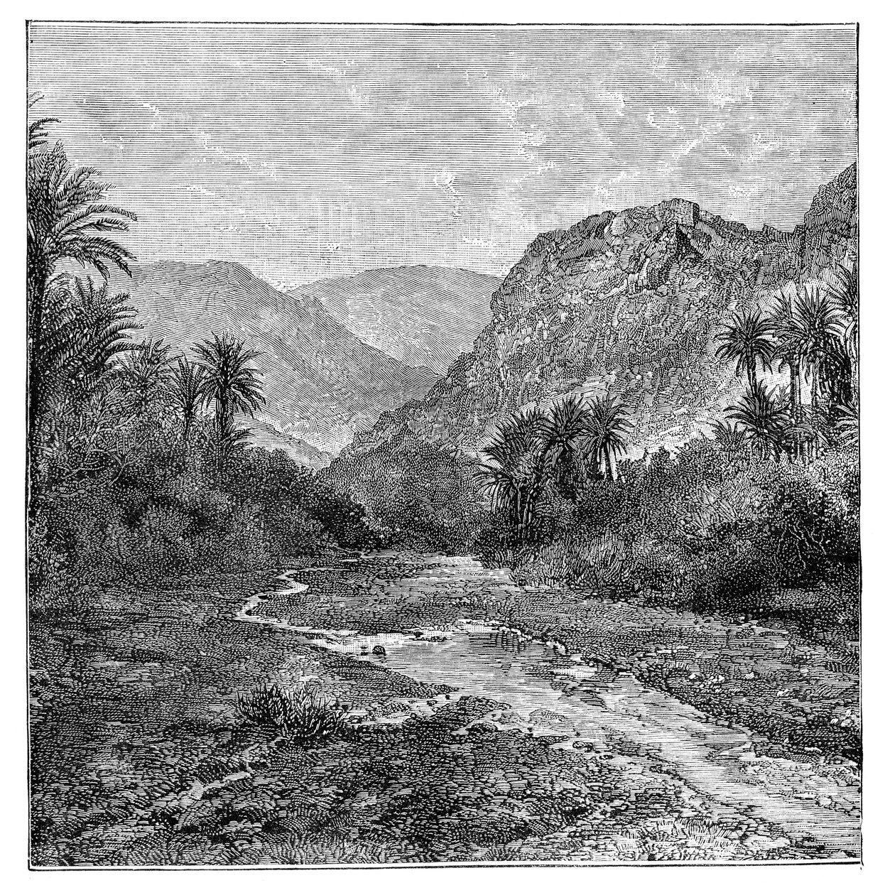 Sinai, Egypten, 1895 af Unbekannt