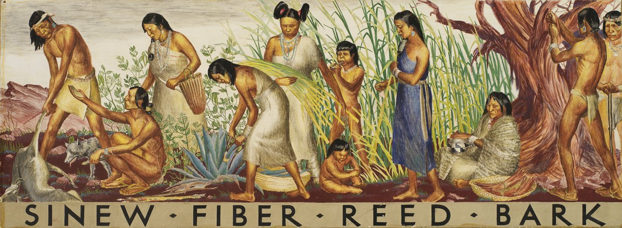Undersøgelse af sene, fiber, siv, bark, ca. 1933-1943. af Unbekannt