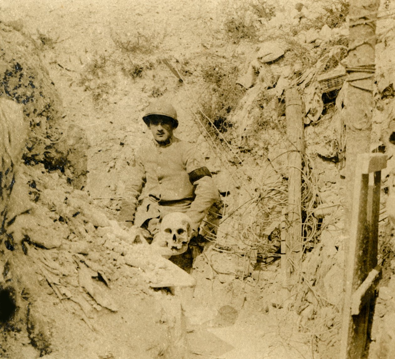 Kranie fundet begravet i skyttegravene, c1914-c1918 af Unbekannt