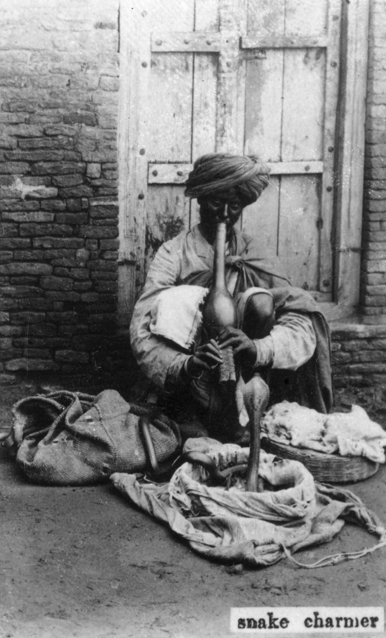 Slangetæmmer, Indien, 20. århundrede af Unbekannt