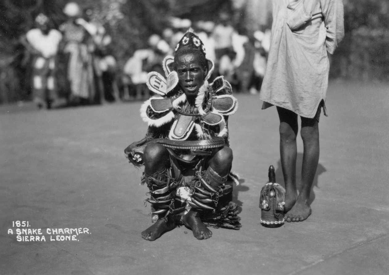 Slangetæmmer, Sierra Leone, 20. århundrede af Unbekannt