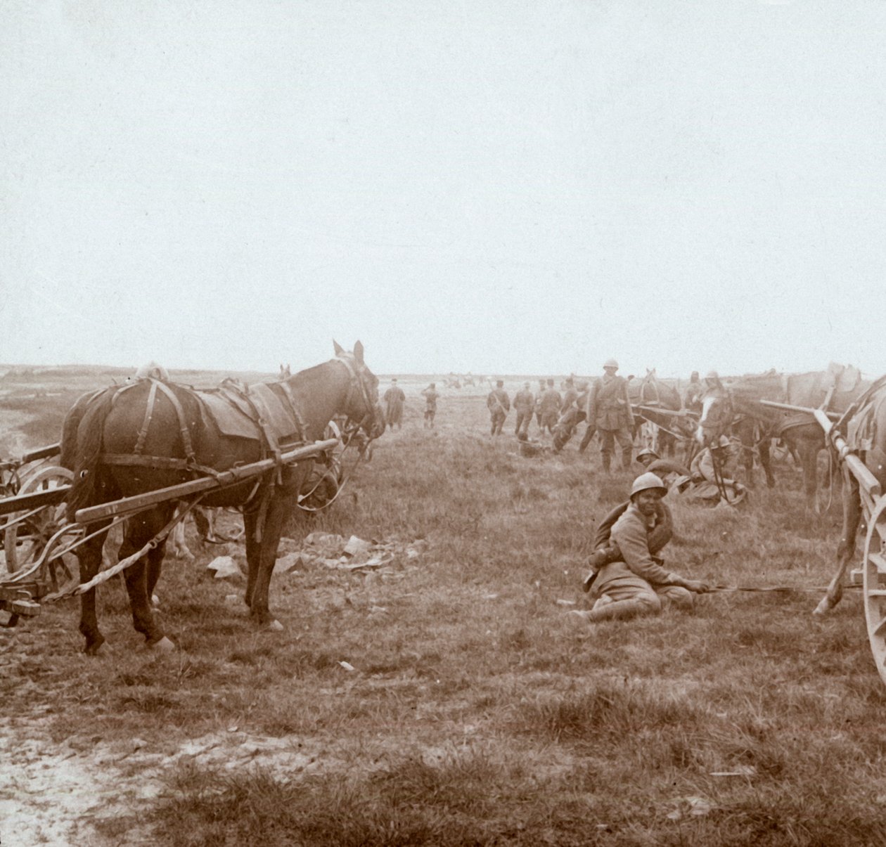 Soldater og hestetrukket artilleri, c1914-c1918 af Unbekannt