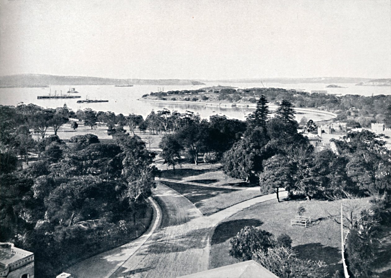 Sydney havn og botaniske haver, c1900. af Unbekannt