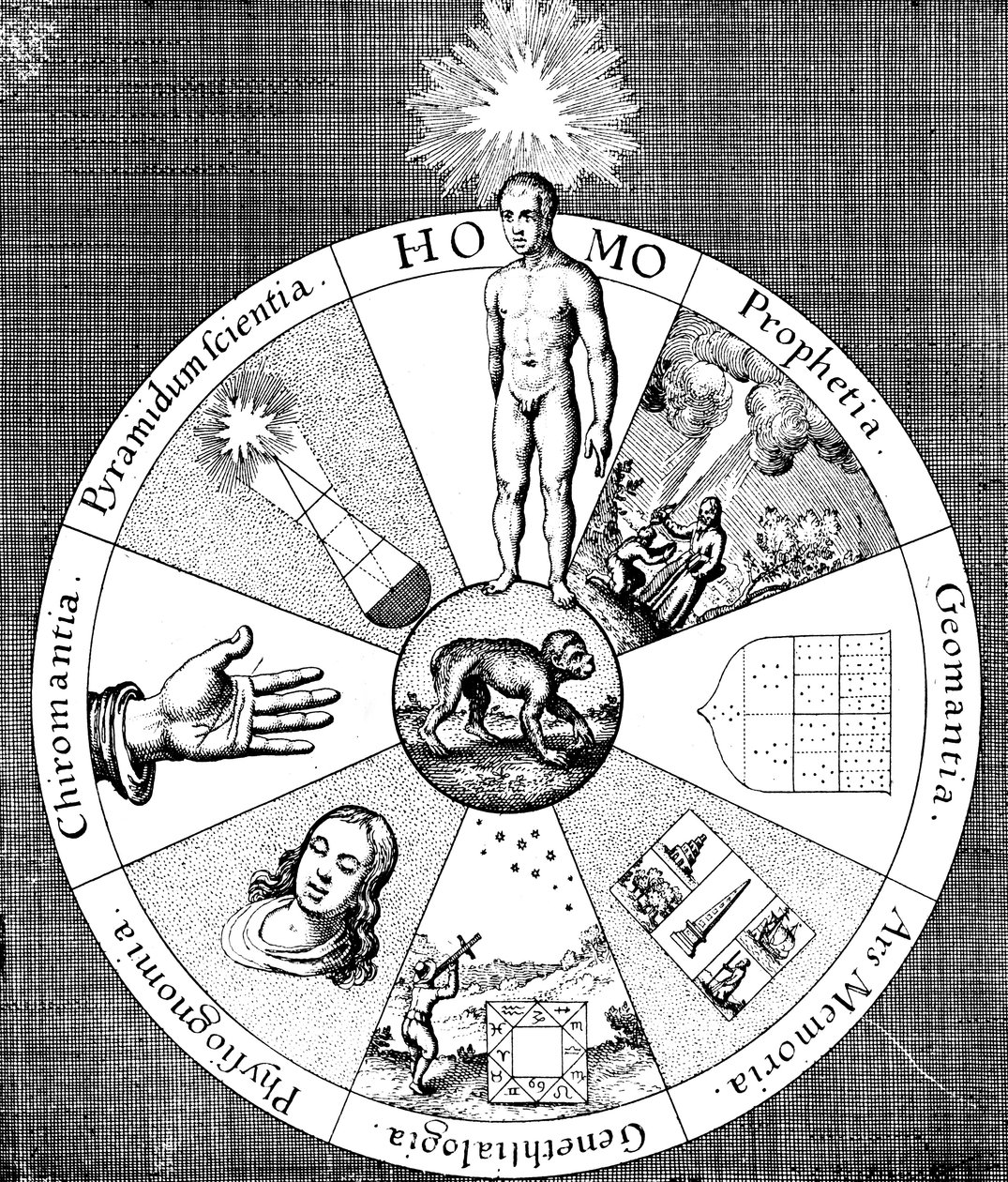 Synopsis af spådomskunsten, 1617-1619 af Unbekannt