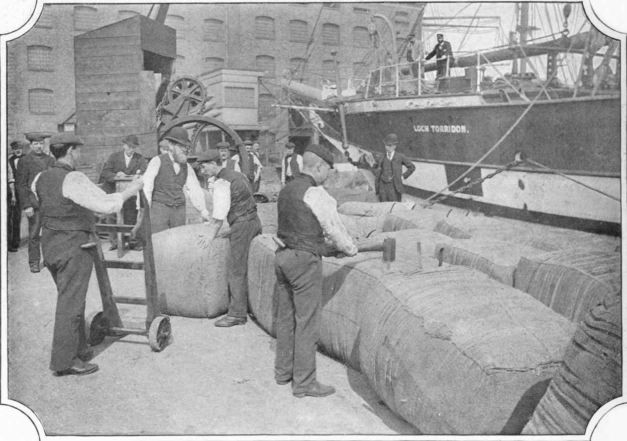 Optælling af uldballer ved London Docks, c1900 1901 af Unbekannt