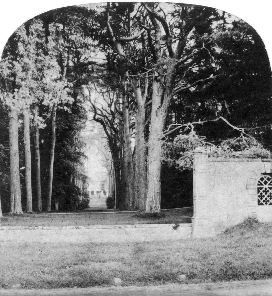 The Avenue, Guys Cliff, Warwick, begyndelsen af det 20. århundrede af Unbekannt