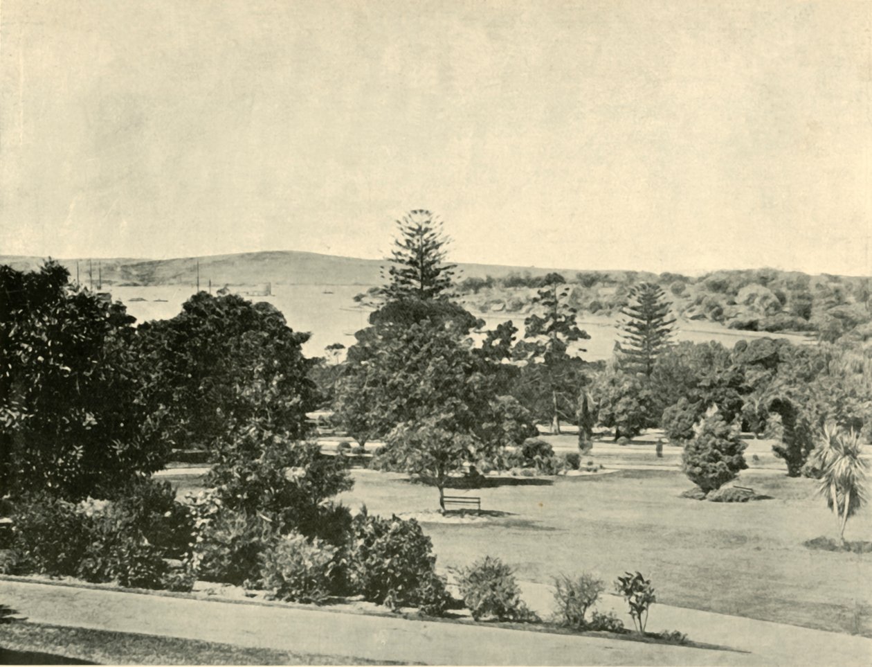 Sydneys botaniske have, 1901. af Unbekannt