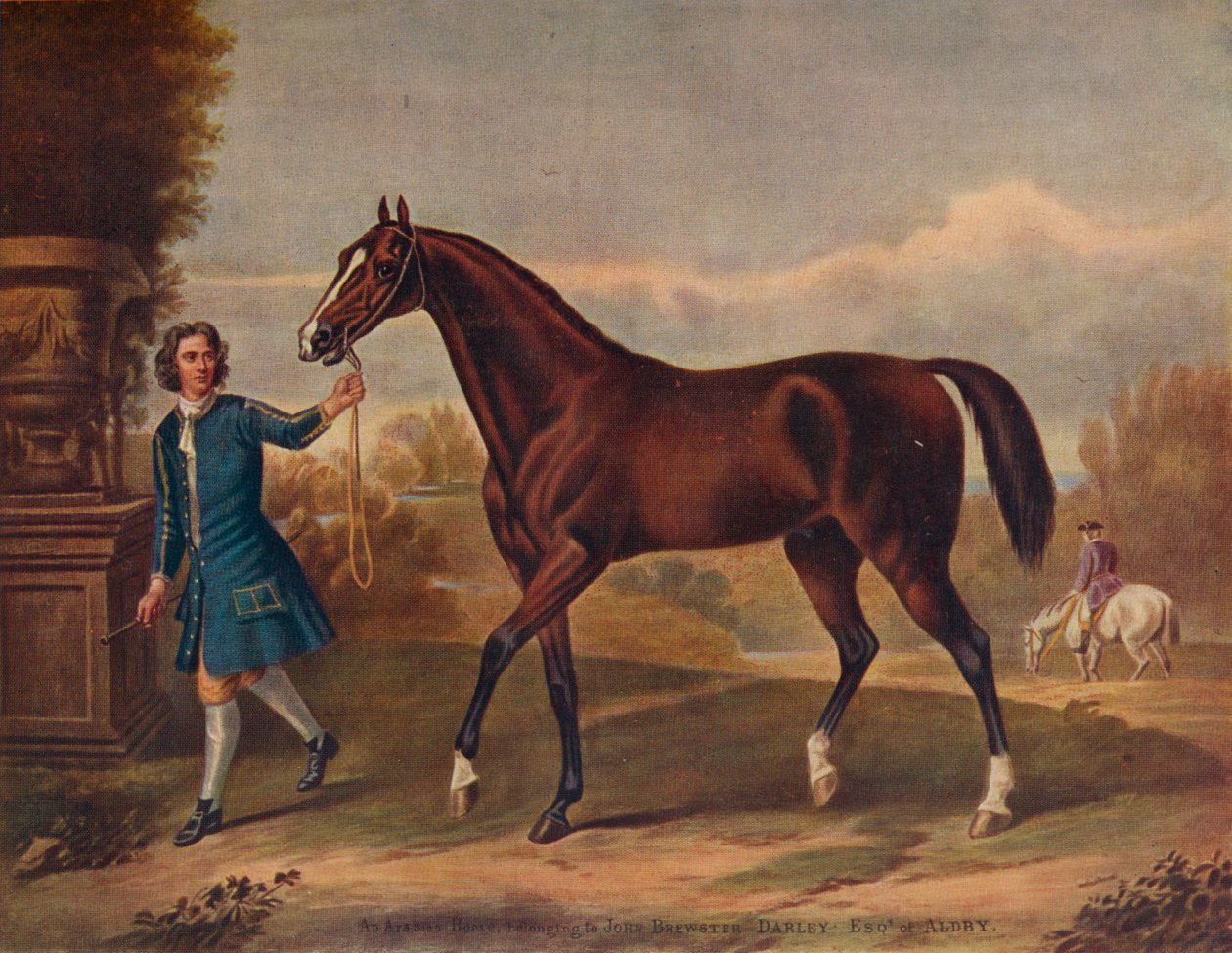 The Darley Arabian, c1720, 1922 af Unbekannt