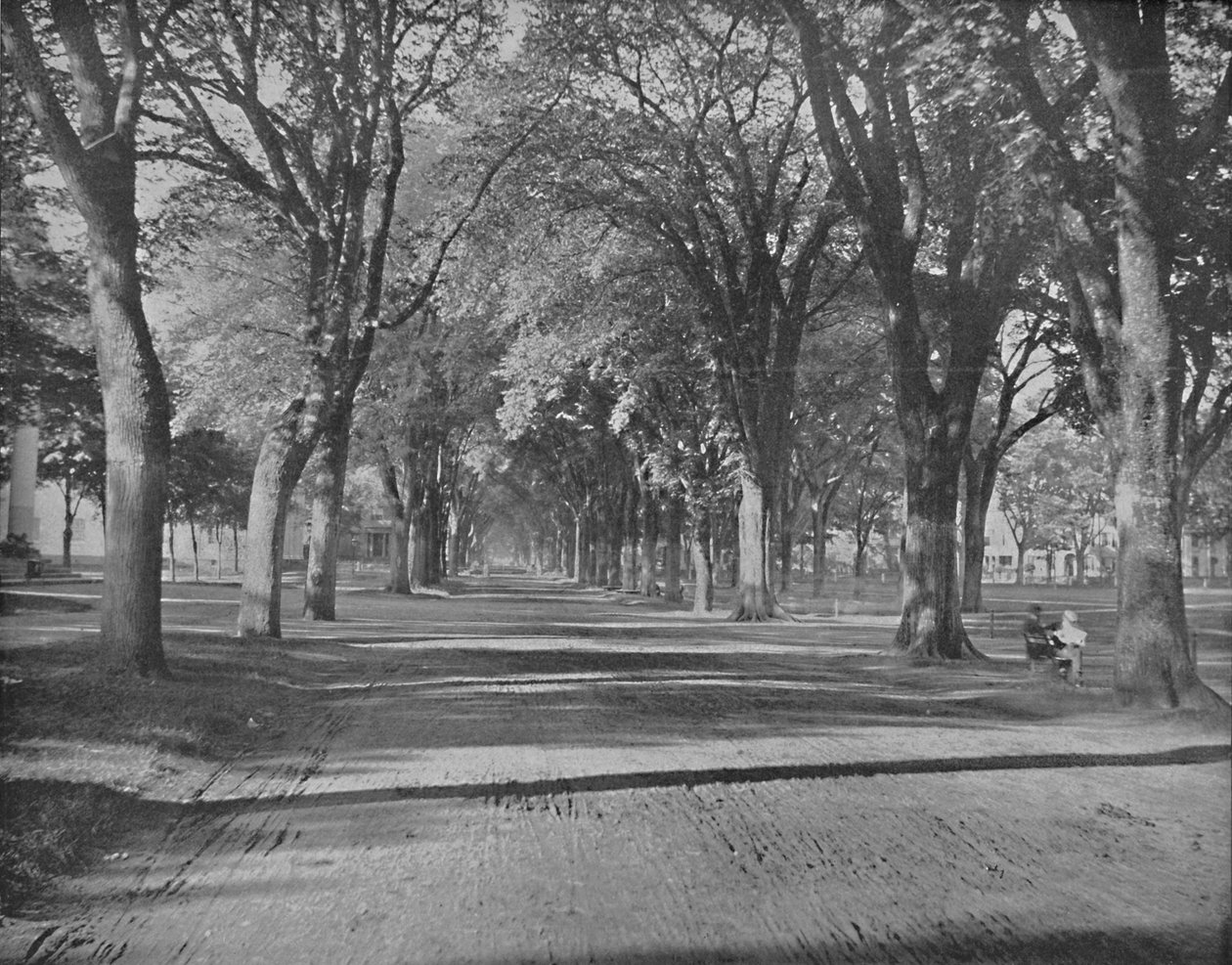 The Elms, New Haven, Conn., c1897. af Unbekannt