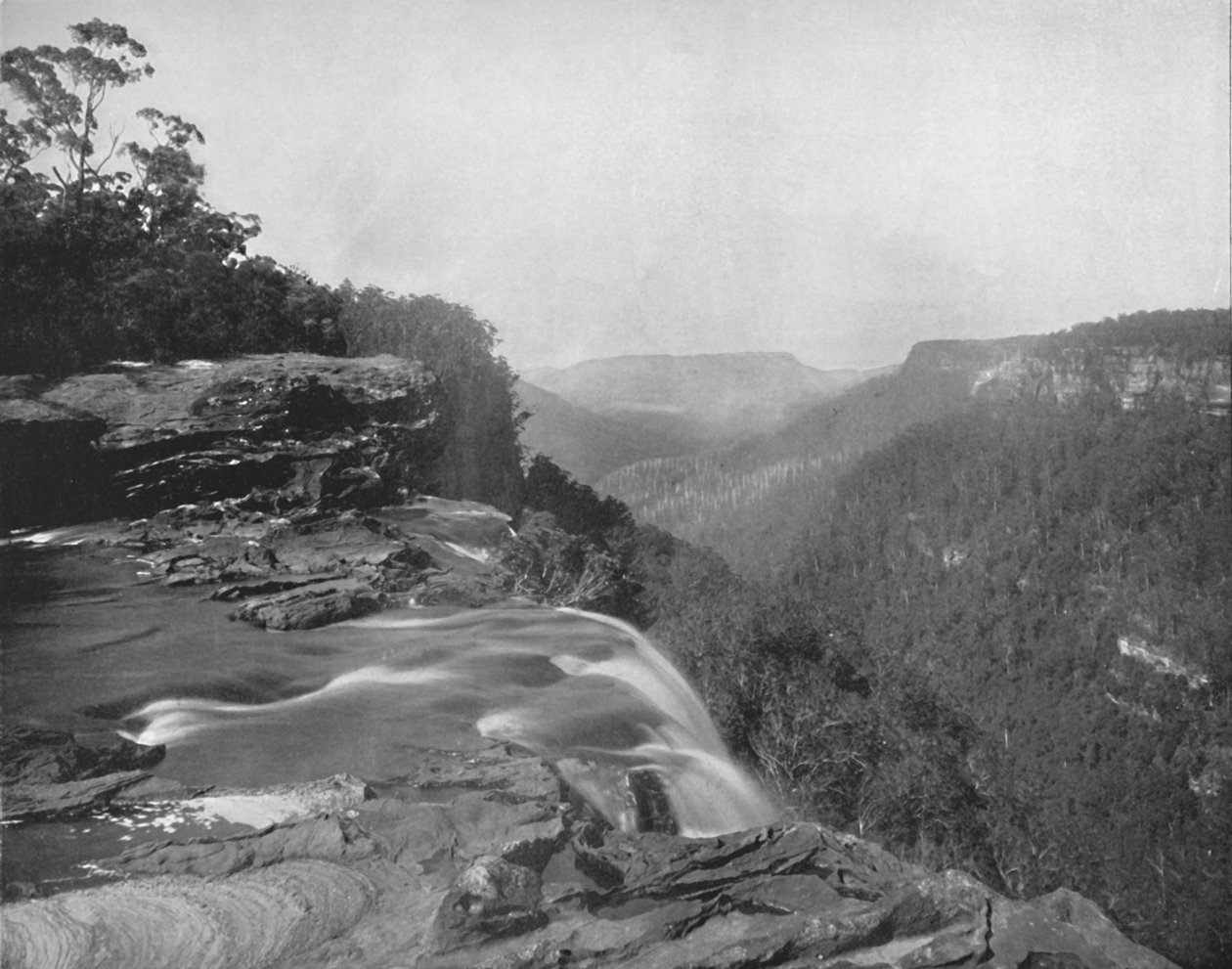 Fitzroy Falls, 1800-tallet af Unbekannt