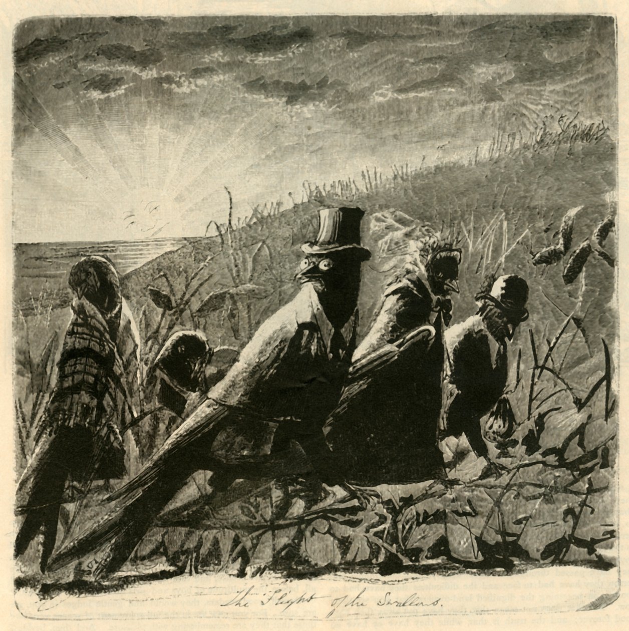 Svalernes flugt, 1882. af Unbekannt