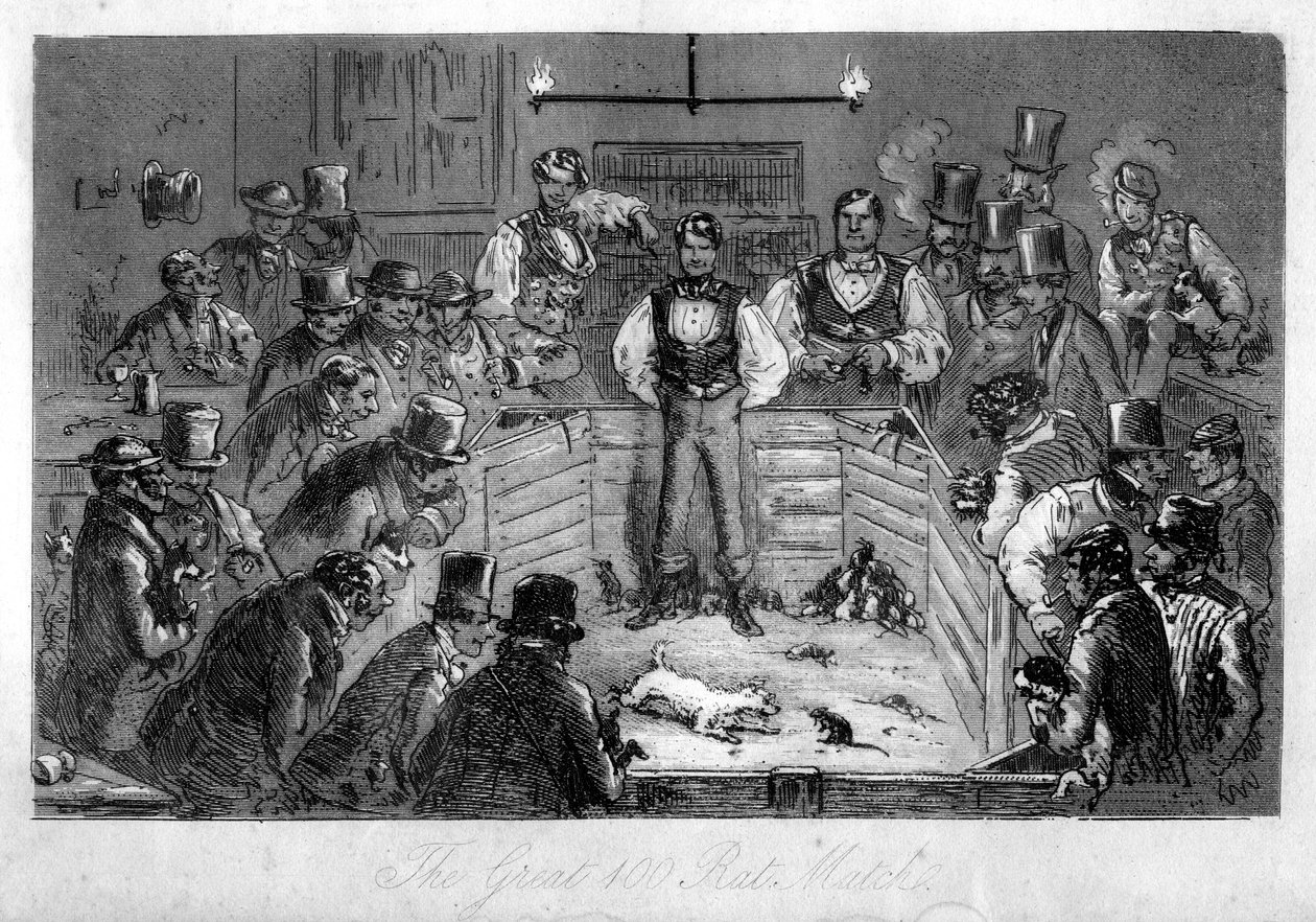 The Great 100 Rat Match, 1800-tallet af Unbekannt