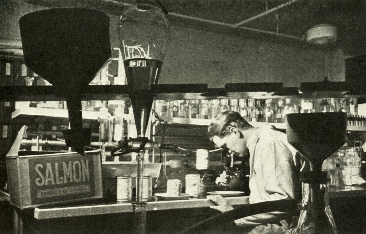 Den store lakseindustri, c1948. af Unbekannt