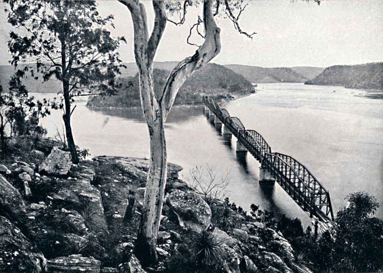 Hawkesbury River and Bridge, c1900. af Unbekannt