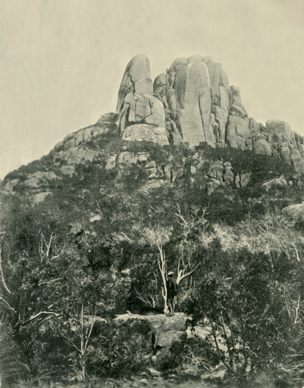 Pukkelen, Buffalo Mountains, 1901. af Unbekannt