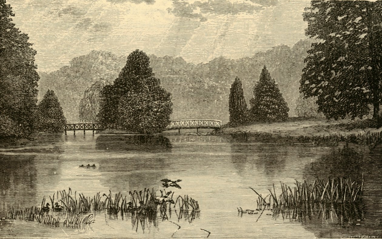Søen, Blenheim, 1898. af Unbekannt