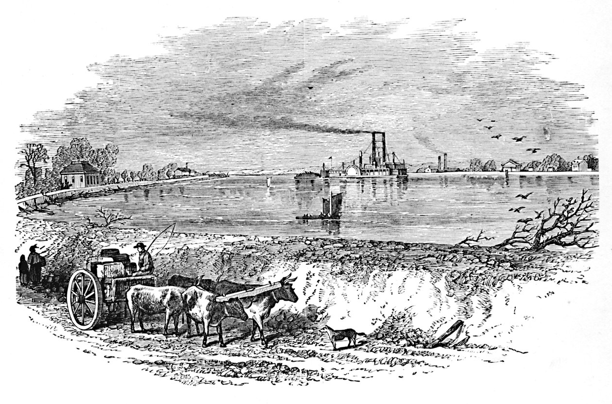 The Levee, 1883 af Unbekannt