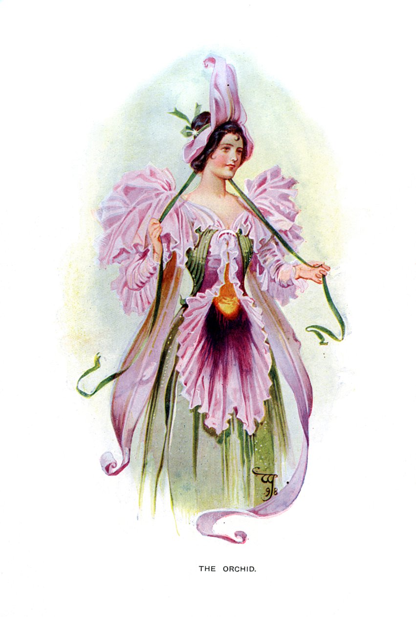 Orkidéen, 1899 af Unbekannt