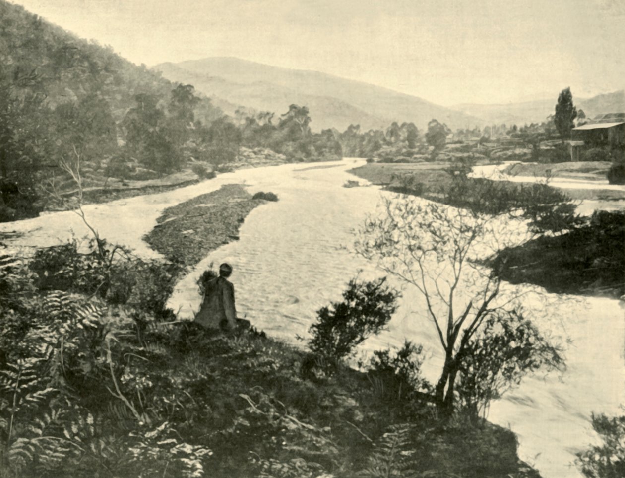 Ovnene ved Bright, 1901. af Unbekannt