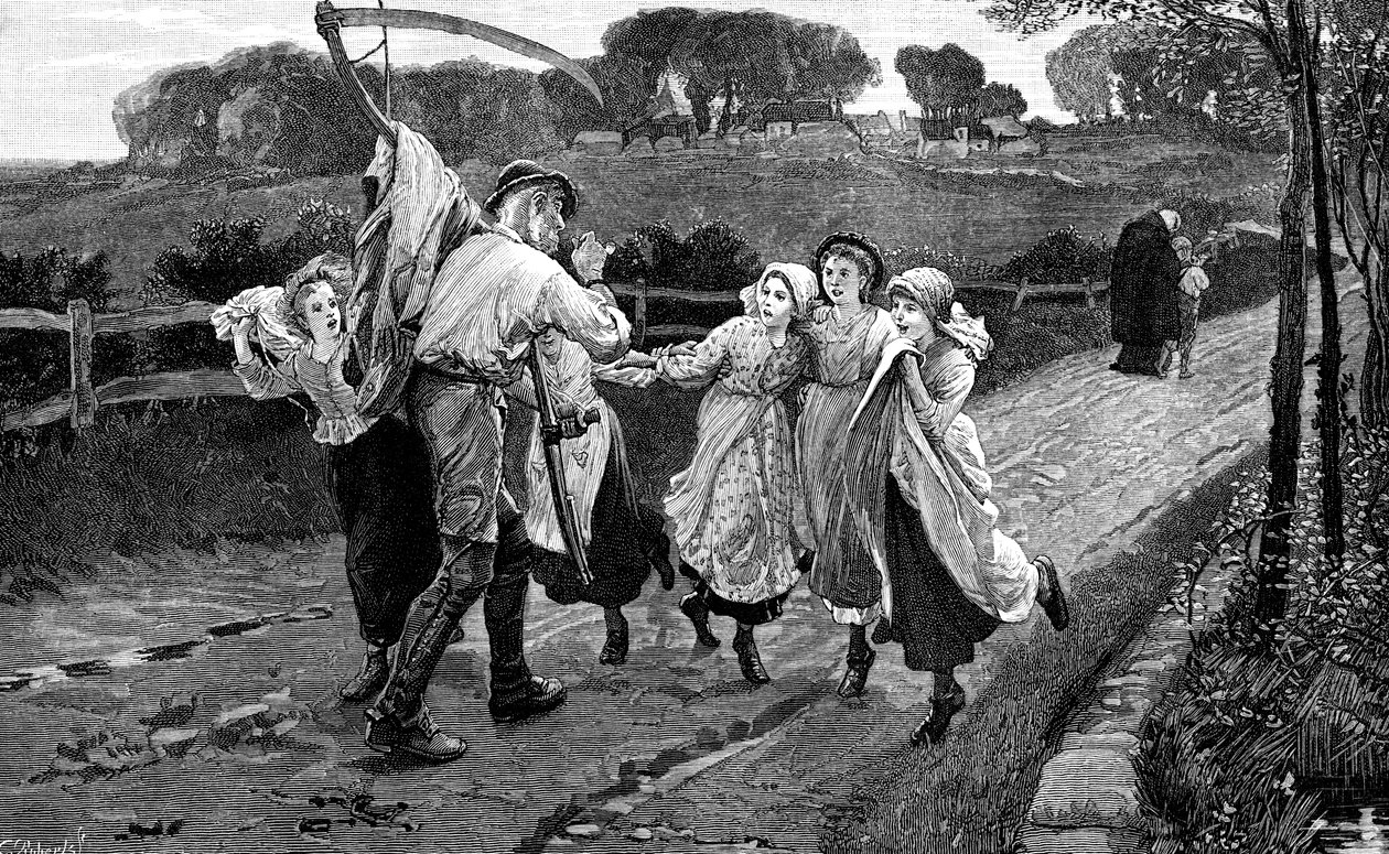 The Reaper and the Flowers, 1882 af Unbekannt