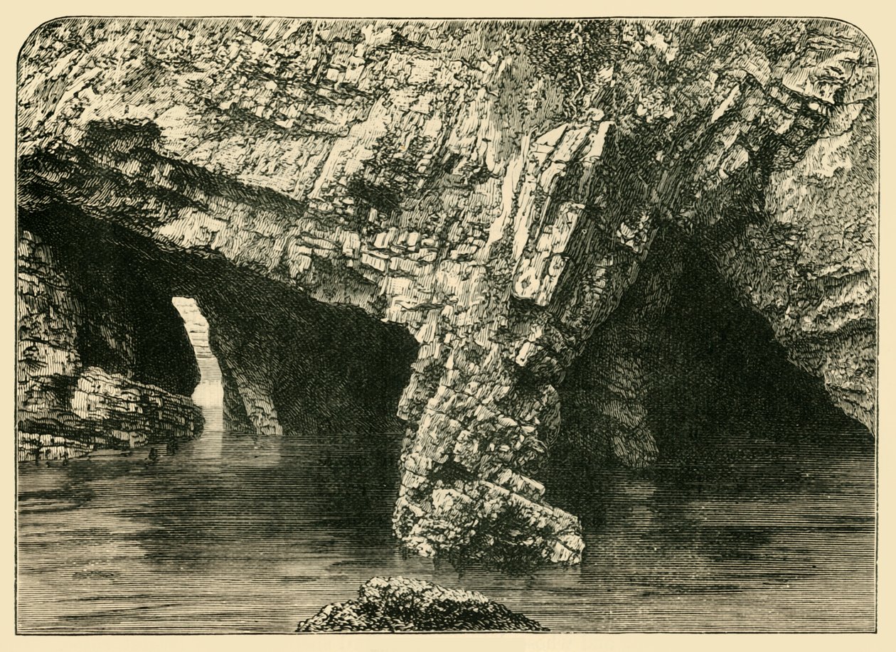 De syv buer, 1898. af Unbekannt
