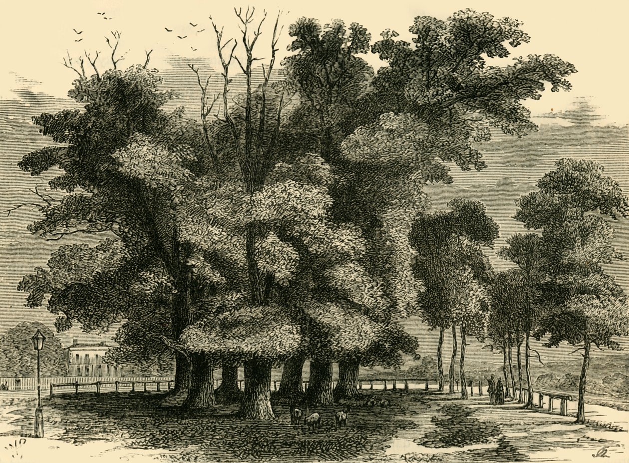 De syv søstre, i 1830, c1876. af Unbekannt